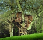 [Image: Tree House]