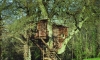 [Image: Tree House]